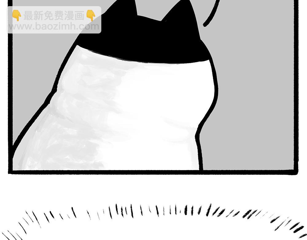 第331话 猫王争霸之“杀青”56