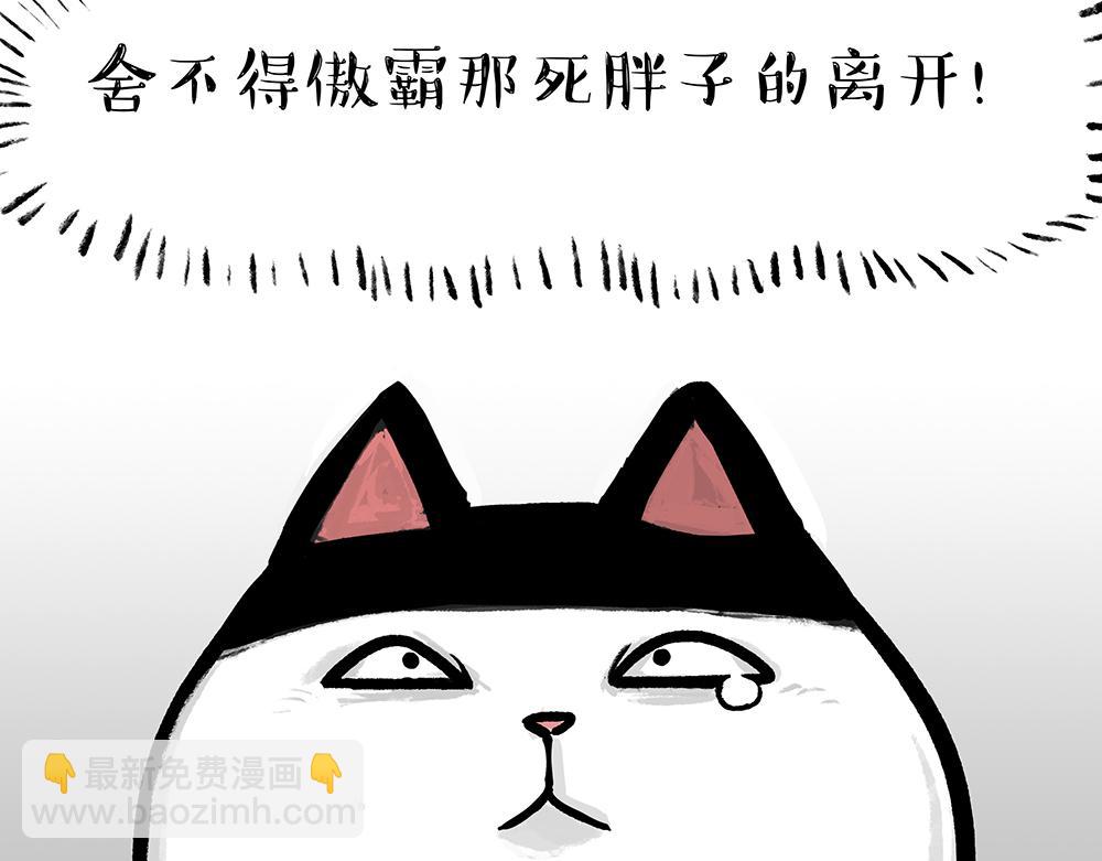 第331话 猫王争霸之“杀青”57