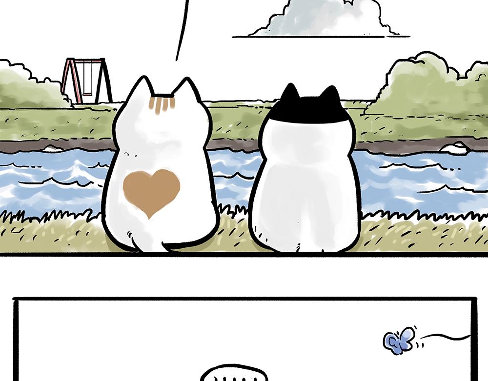 第331话 猫王争霸之“杀青”6