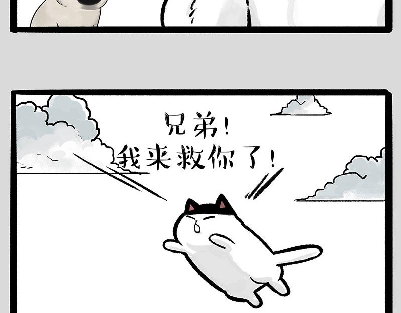 第331话 猫王争霸之“杀青”63