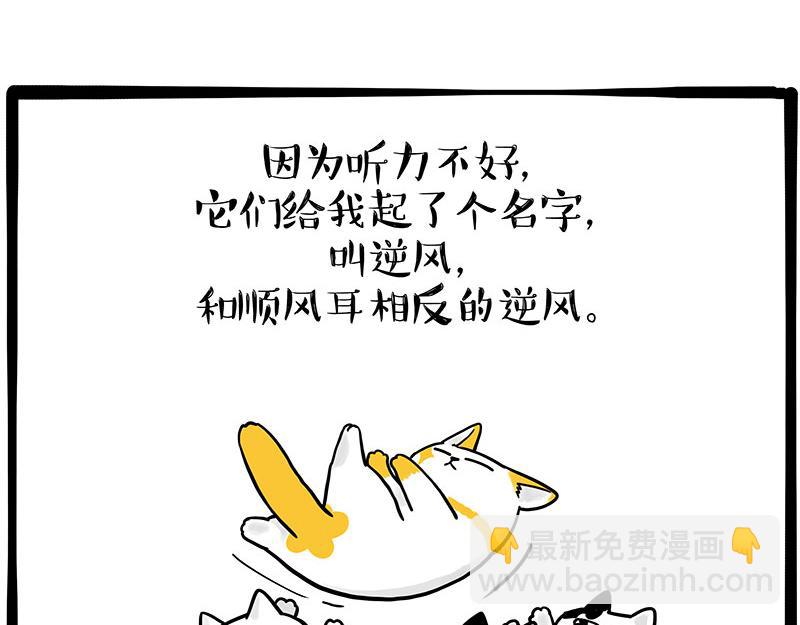 第332话 逆风翻盘49