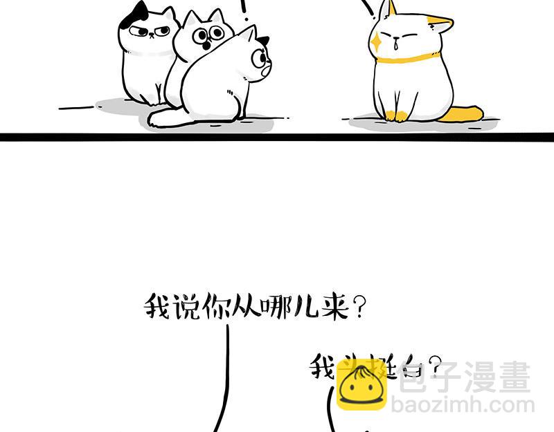 第332话 逆风翻盘9