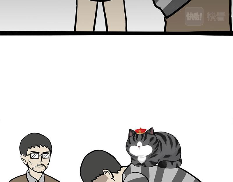 第333话 养啥好？16