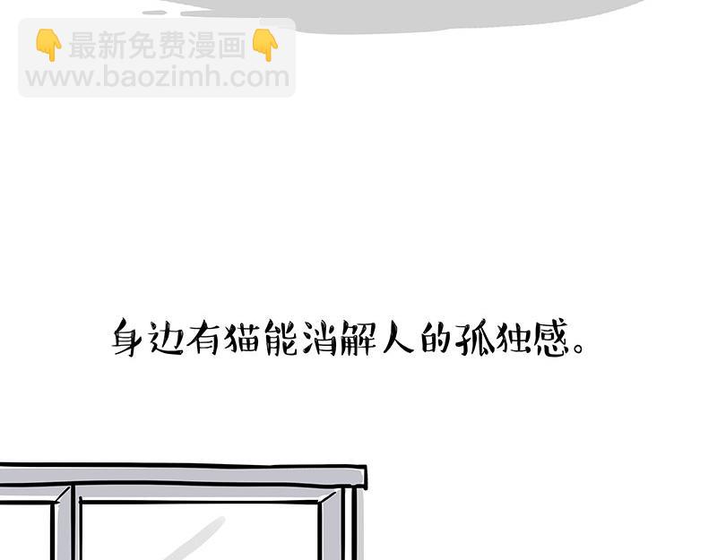 第333话 养啥好？2