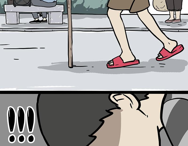 第333话 养啥好？21