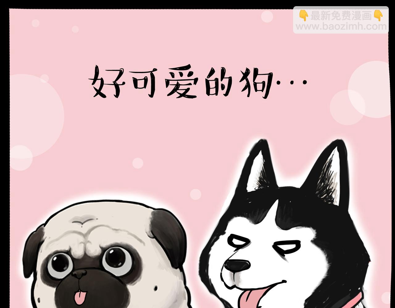 第333话 养啥好？27