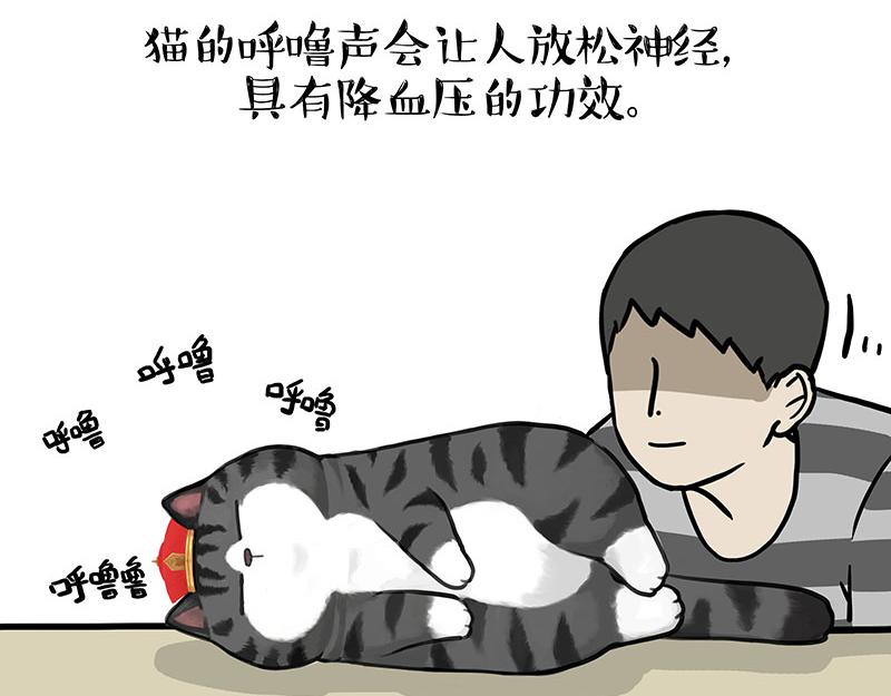 第333话 养啥好？4