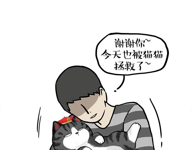 第333话 养啥好？6