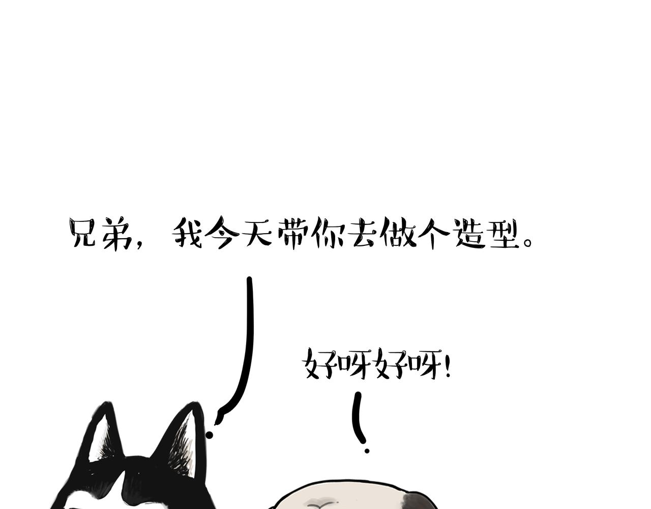 第335话 你太菜了13