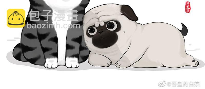 第335话 你太菜了48