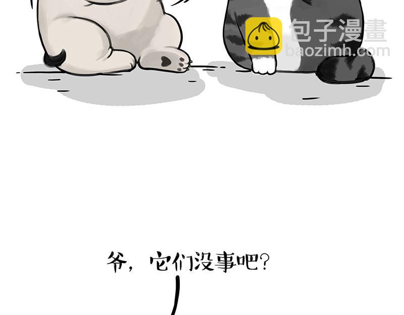 第336话 “告别”仪式14