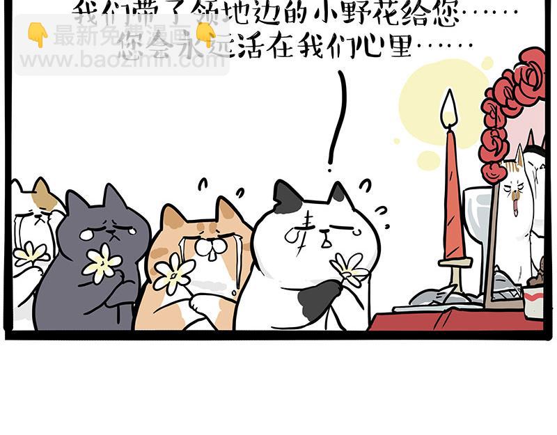 第336话 “告别”仪式41