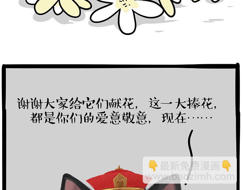 第336话 “告别”仪式45