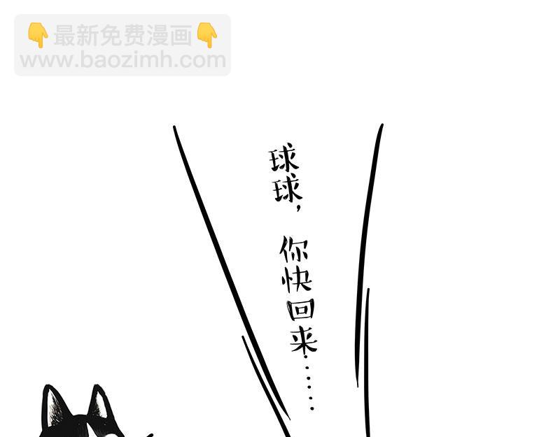 第337话 下辈子报仇16
