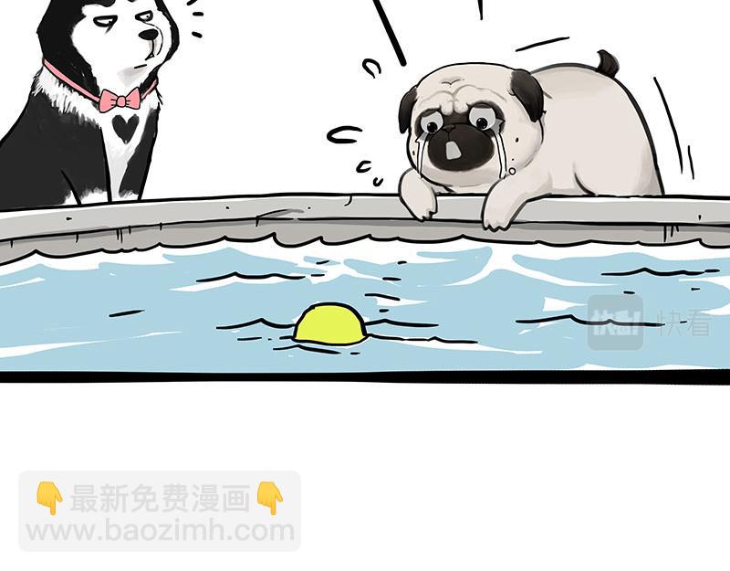第337话 下辈子报仇17