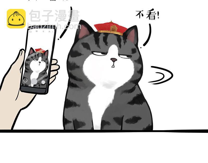 第337话 下辈子报仇25