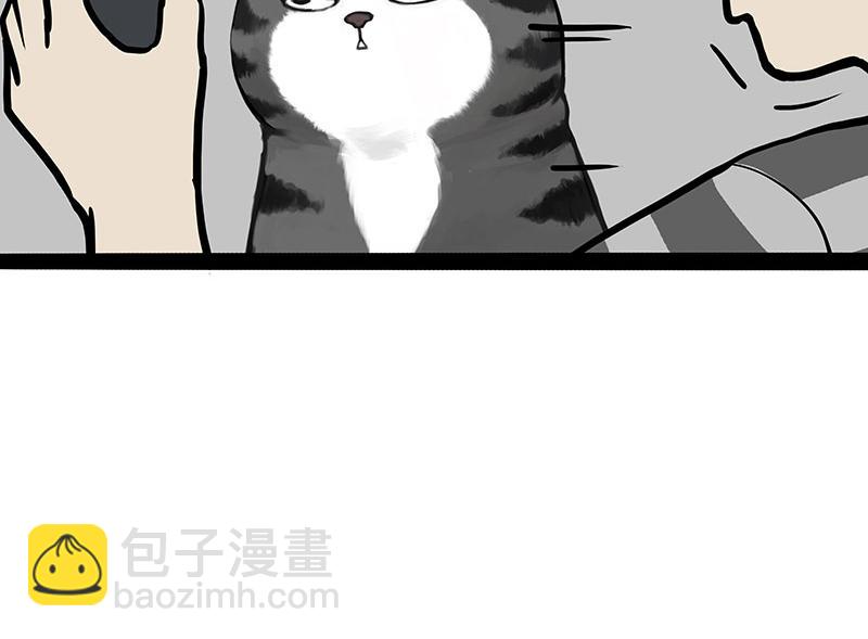 第337话 下辈子报仇30