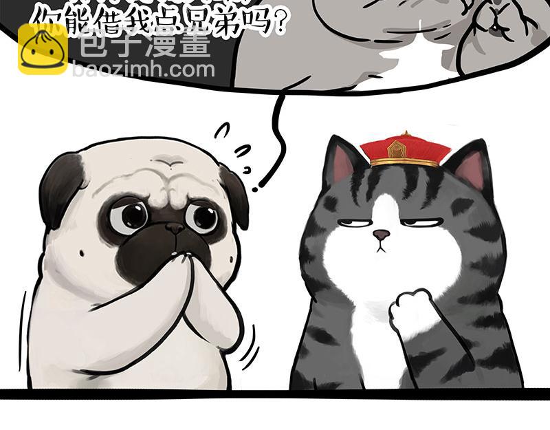 第337话 下辈子报仇32