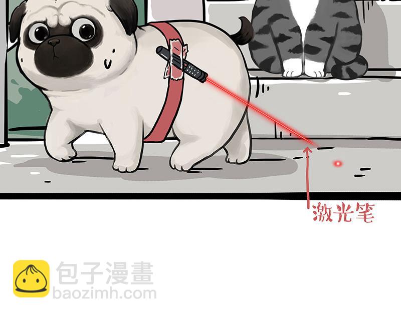 第337话 下辈子报仇36