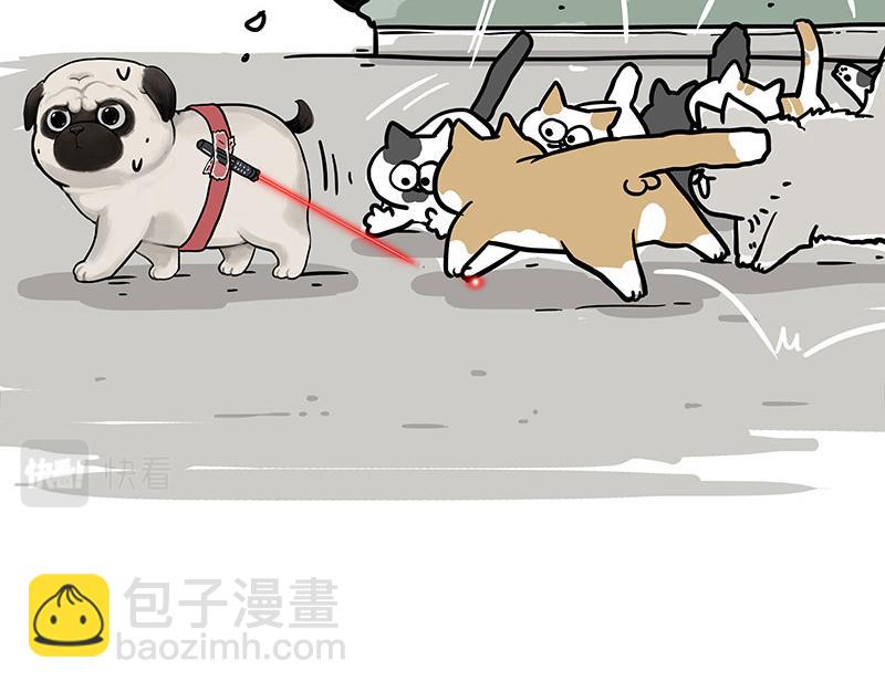 第337话 下辈子报仇42