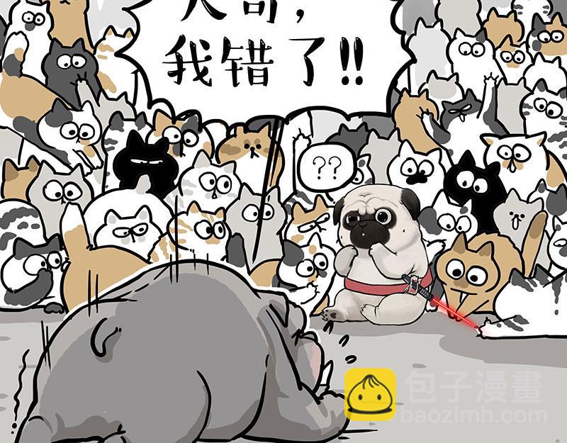 第337话 下辈子报仇45