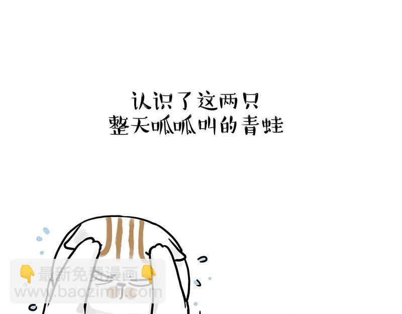 第339话 傲霸，上岸了！13