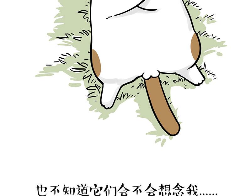 第339话 傲霸，上岸了！70