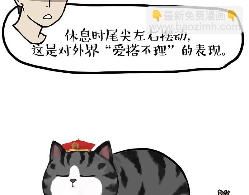第340话 自我攻略19