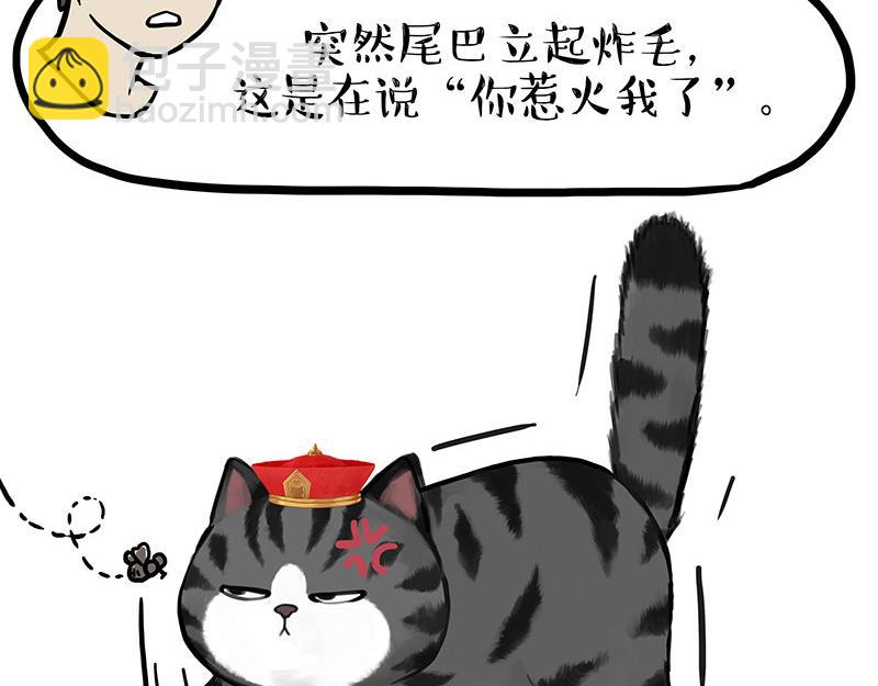 第340话 自我攻略21