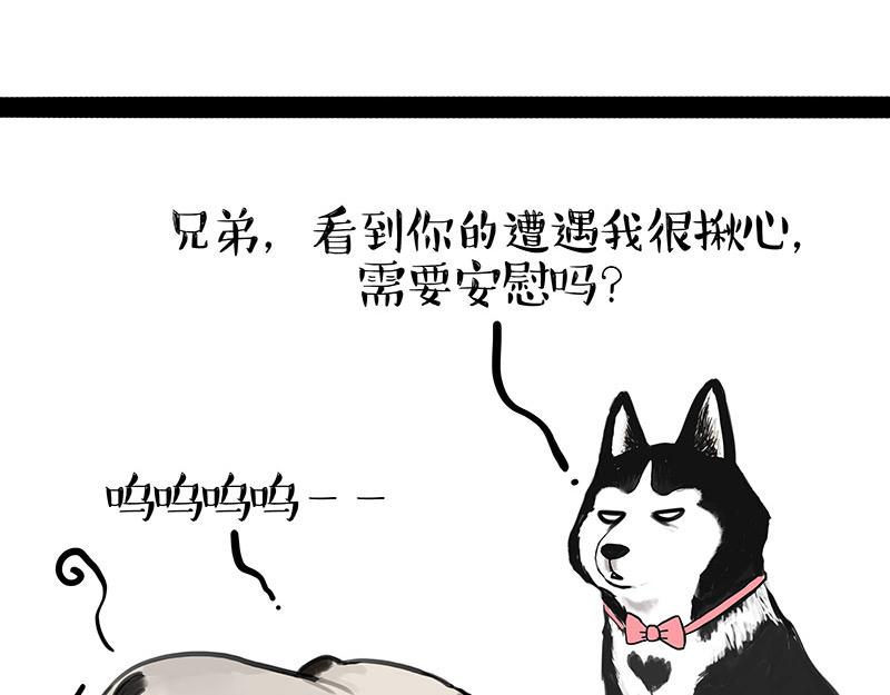 第340话 自我攻略38