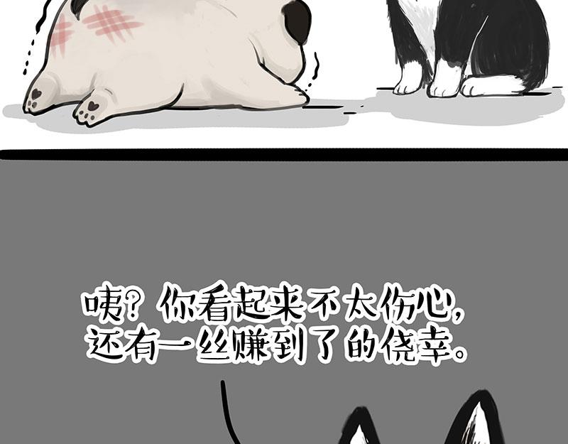 第340话 自我攻略39
