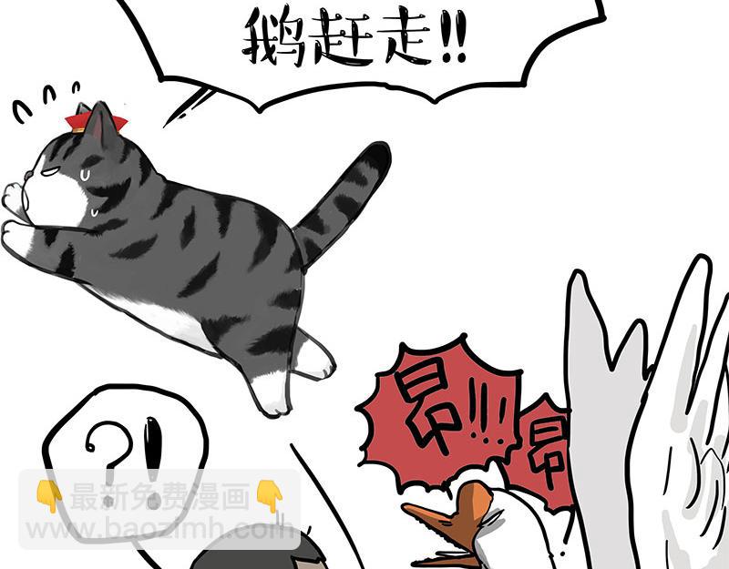 第340话 自我攻略6