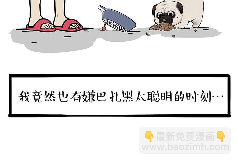 第341话 傻狗逆袭20