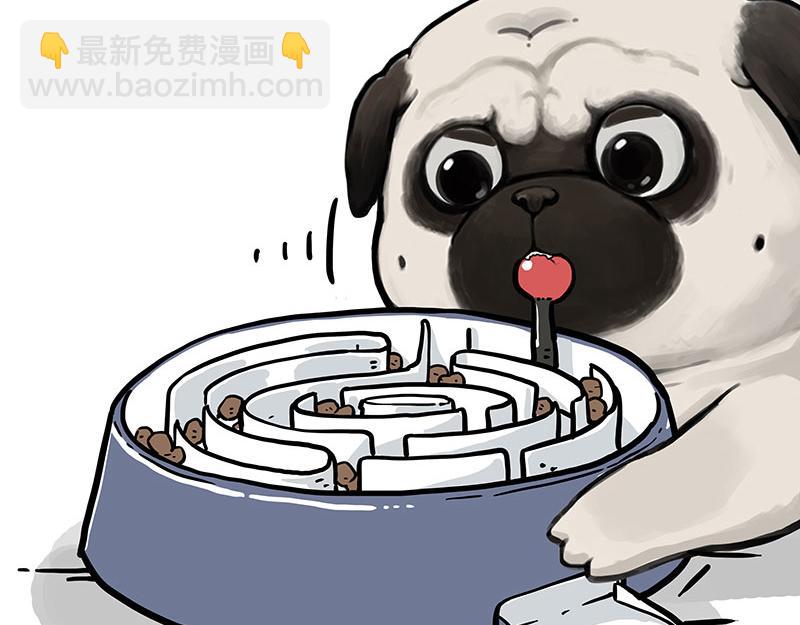 第341话 傻狗逆袭5