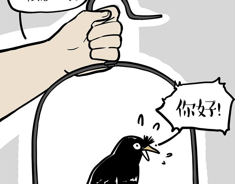 第342话 胜负欲3