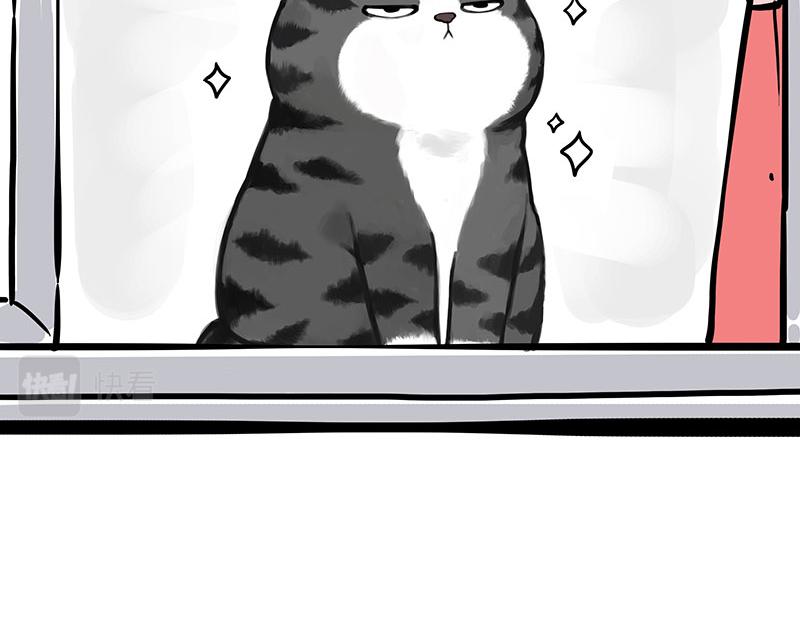 第343话 喵生哲学10