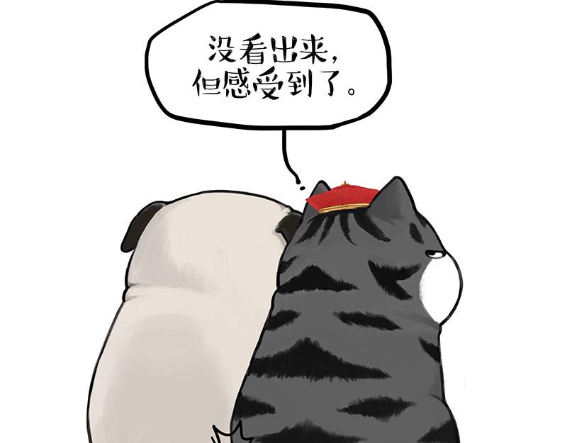 第343话 喵生哲学14