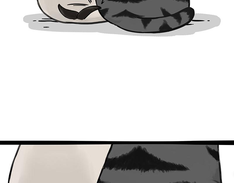 第343话 喵生哲学15