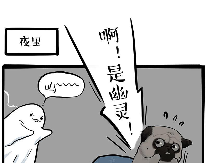 第343话 喵生哲学18