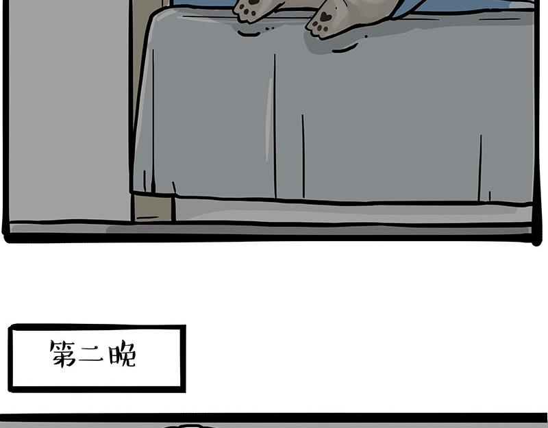 第343话 喵生哲学21