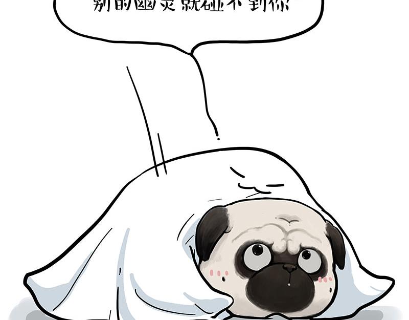 第343话 喵生哲学24