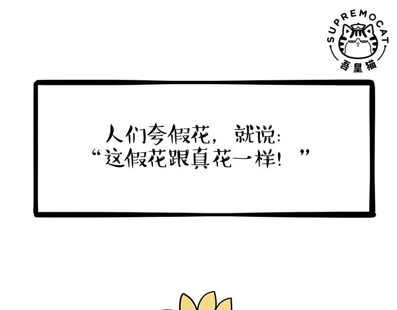 第343话 喵生哲学26