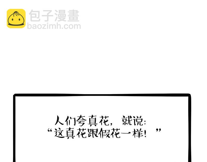 第343话 喵生哲学28