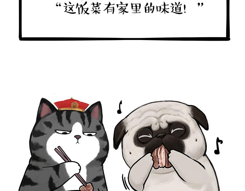 第343话 喵生哲学36
