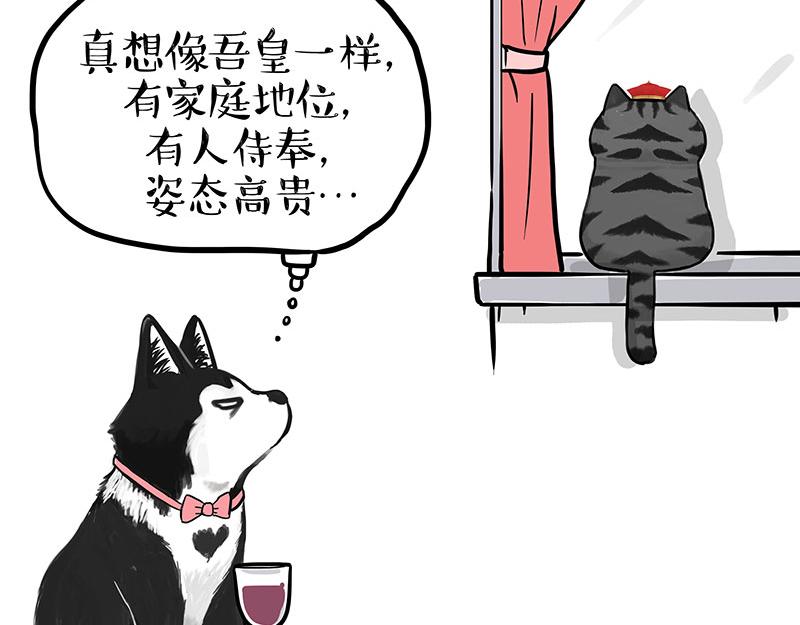 第343话 喵生哲学7