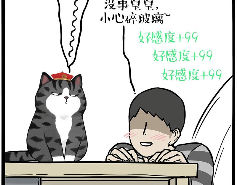 第344话 人生止痛剂14