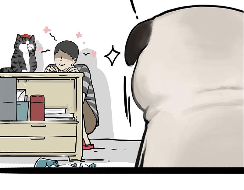 第344话 人生止痛剂16