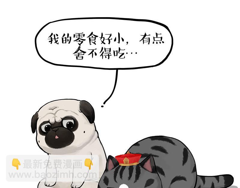 第344话 人生止痛剂2