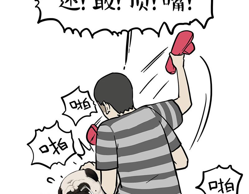 第344话 人生止痛剂22