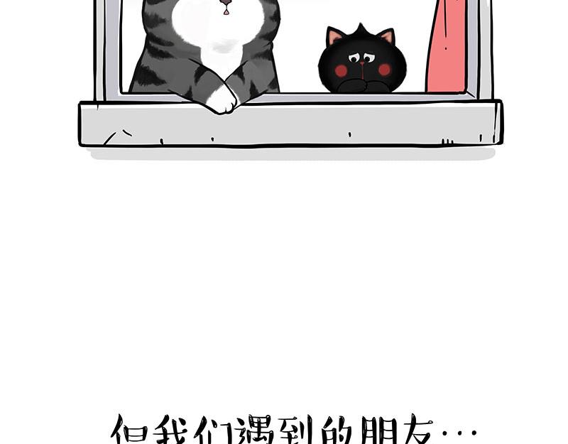 第344话 人生止痛剂38